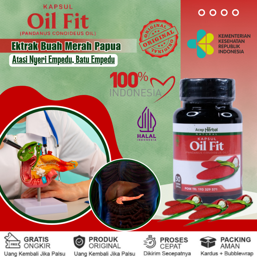 Obat Sakit Pankreas, Obat Radang Pankreas, Obat Nyeri Perut, Obat Pankreatitis, Obat Gangguan Pada P