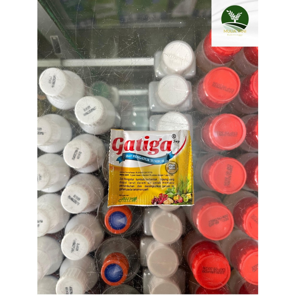 Gatiga Zat Pengatur Tumbuhan