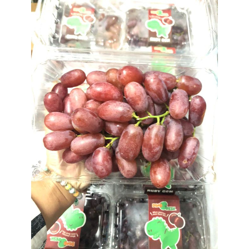 

Anggur Ruby Gem China Dinofresh Berat 500gram /pack