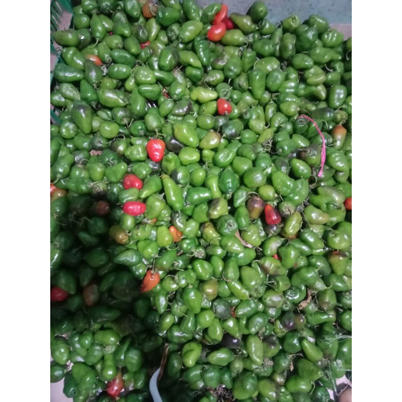 

cabe gendot 250gram