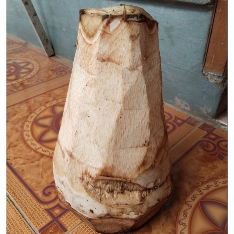 

humbut kelapa segar 1kg sayur mayur