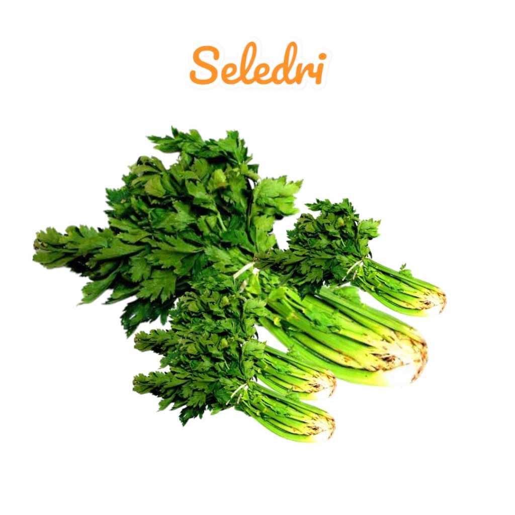 

Seledri