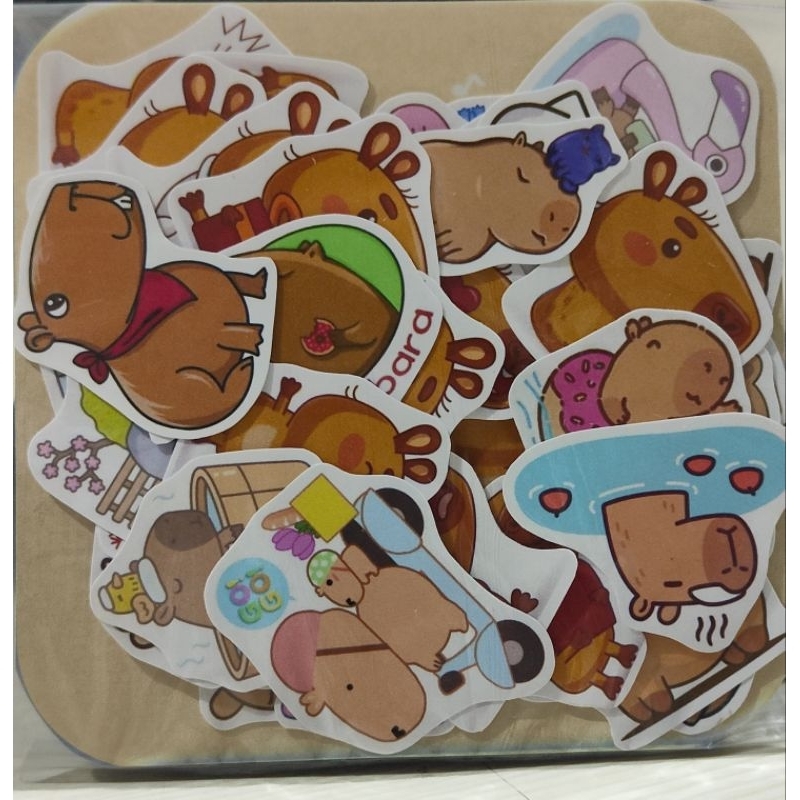 

STICKER LUCU CAPYBARA