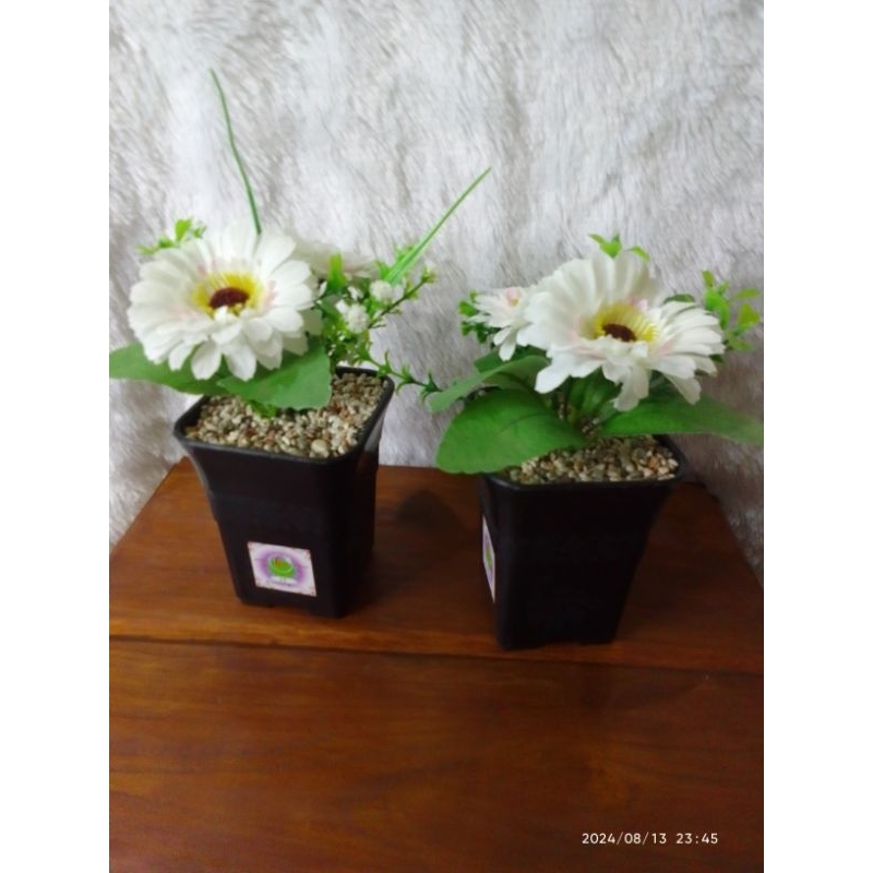 SET BUNGA PLASTIK MATAHARI DENGAN POT KOTAK TINGGI BUNGA HIAS MATAHARI PUTIH BUNGA DEKORASI RUMAH BU