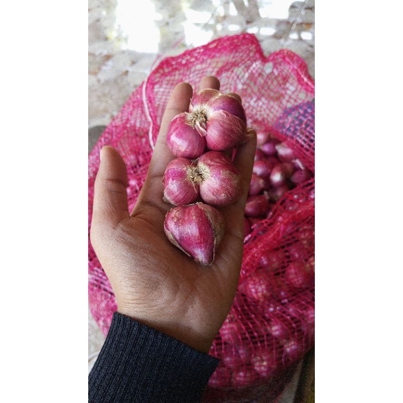 

Bawang merah besar 1kg