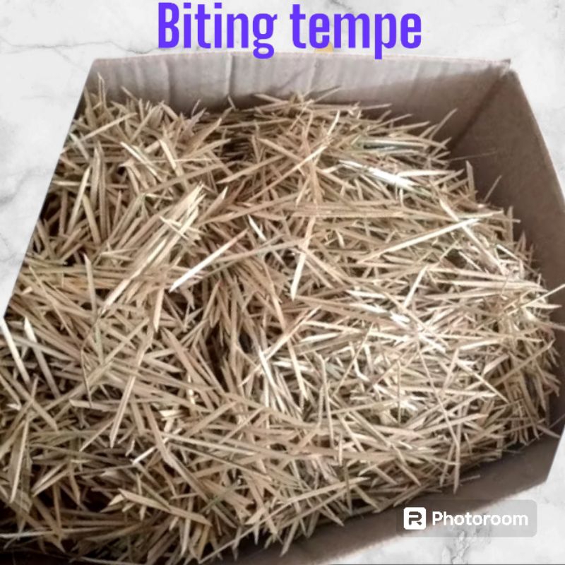 Biting Bambu Biting Lidi, Biting Daun ,biting tempe biting lontong lemper dll