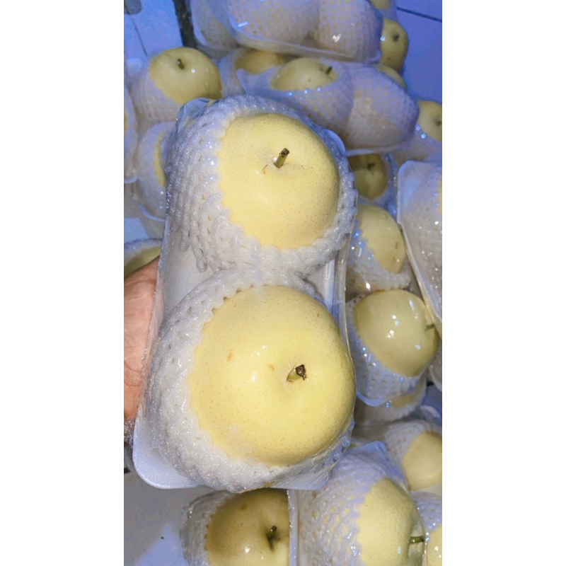 

BUAH PIR FRESHHH 500gram SYEGERRRRR BERGARANSI