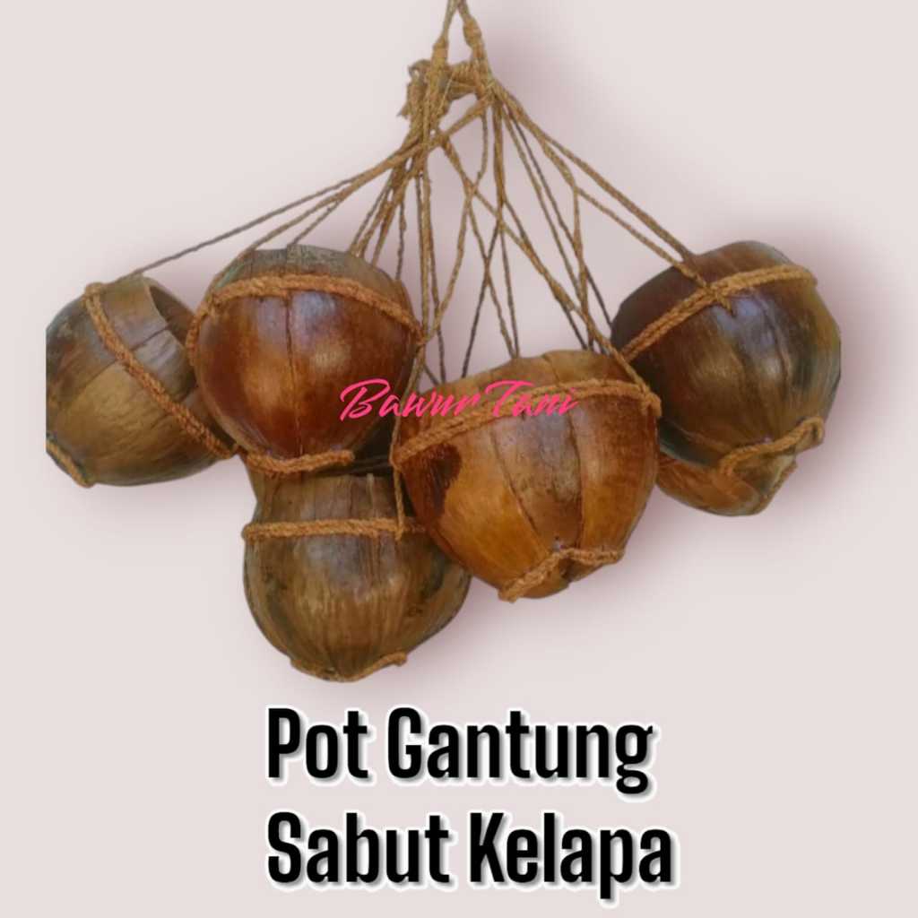 Pot Gantung Anggrek Sabut Kelapa Pot Cumplung Pot Tanaman Pot anggrek Media Anggrek