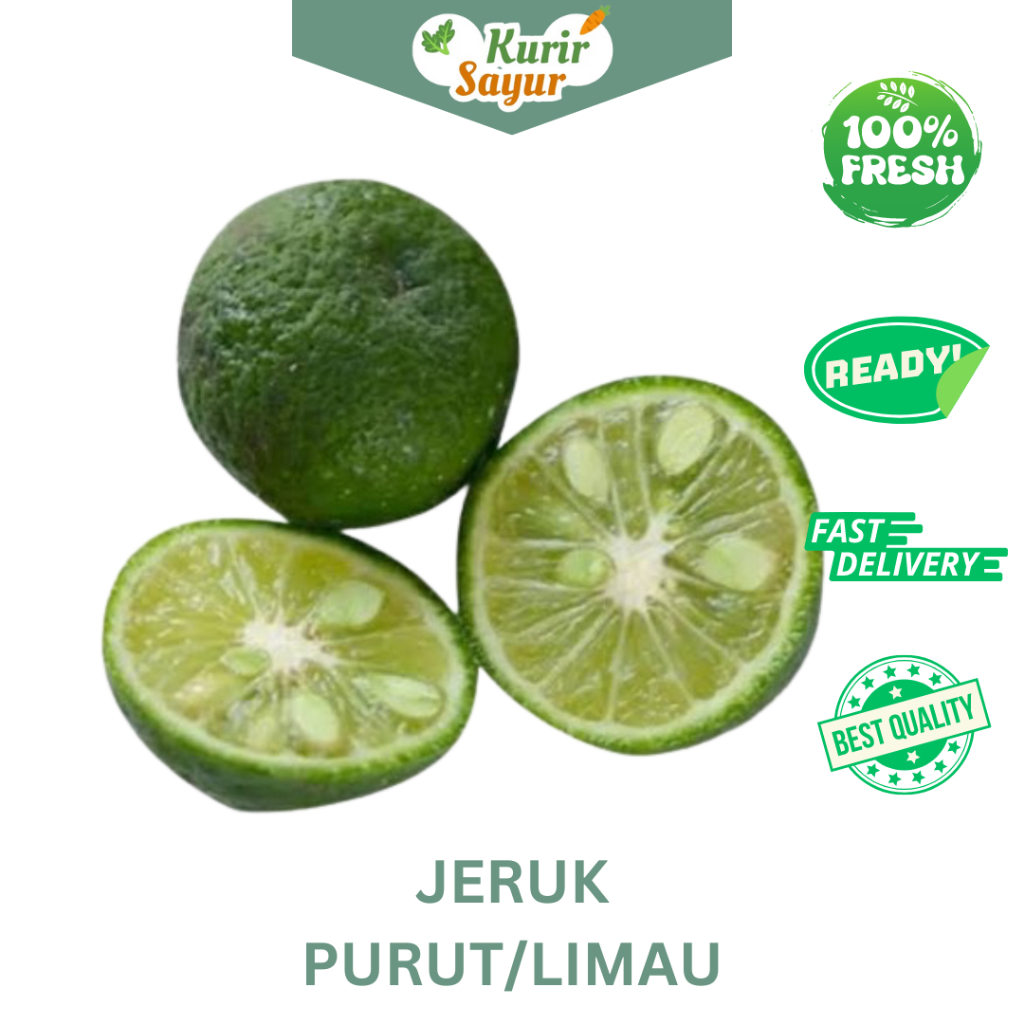 

KURIR SAYUR - JERUK PURUT/JERUK LIMO/LIMAU