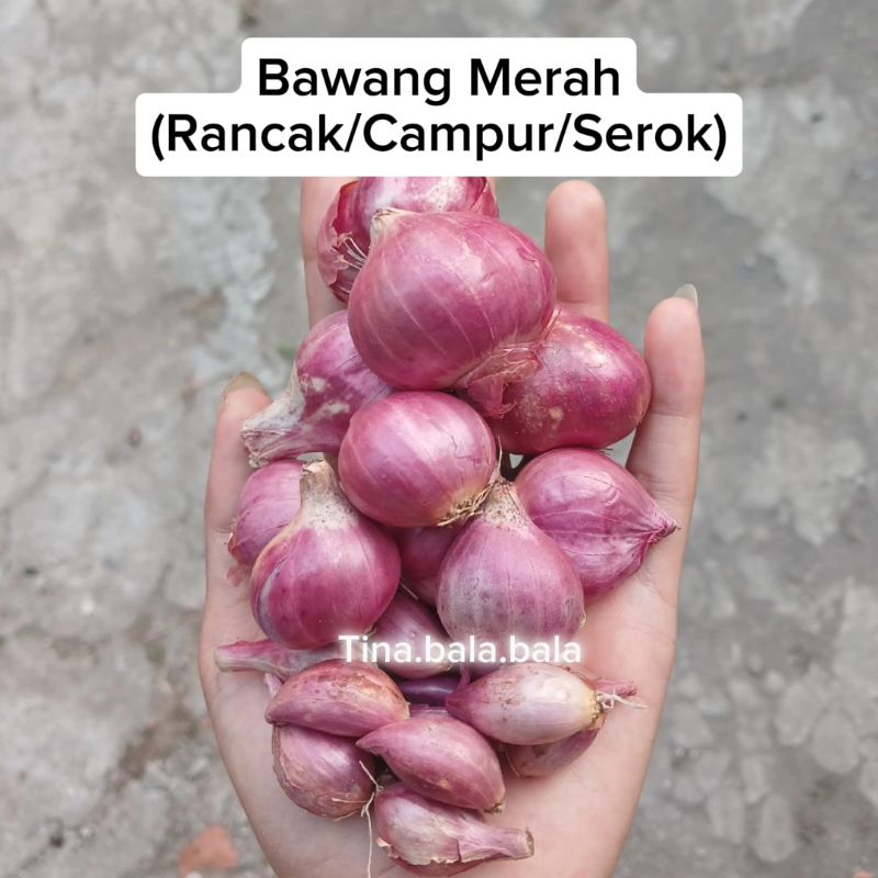 

Bawang Merah Rancak/Campur/Serok, Asli Dari Petani Nganjuk Jawa Timur, Kwalitas Terjamin