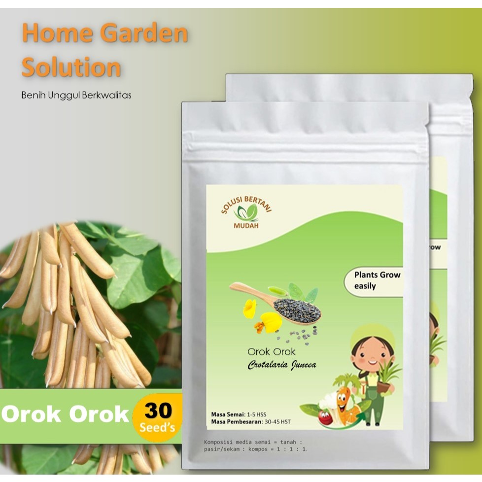 30 Bibit Benih Orok Orok Crotalaria Juncea