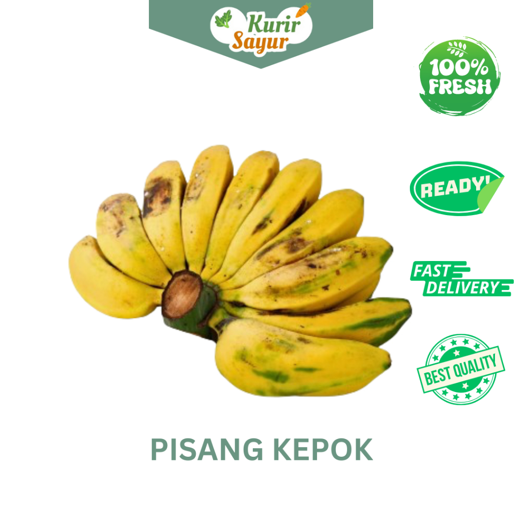 

KURIR SAYUR - PISANG KEPOK PERSISIR