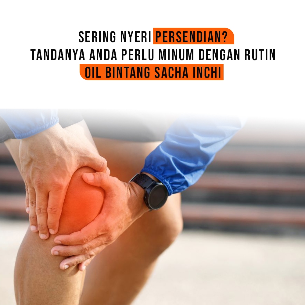 Jual Oil Bintang Sacha Inchi Herbal Untuk Nyeri Sendi