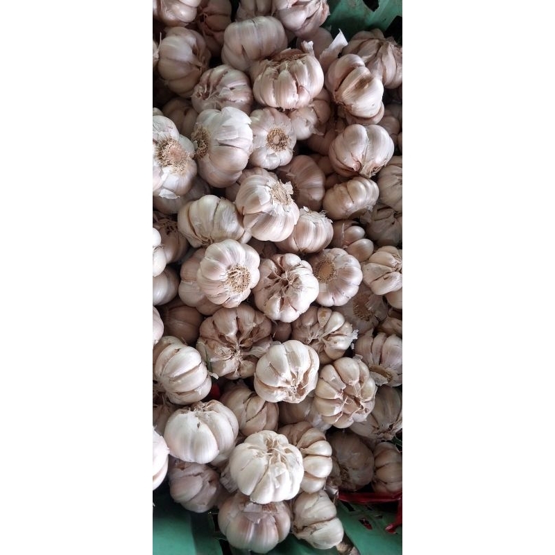 

Bawang putih super 1kg