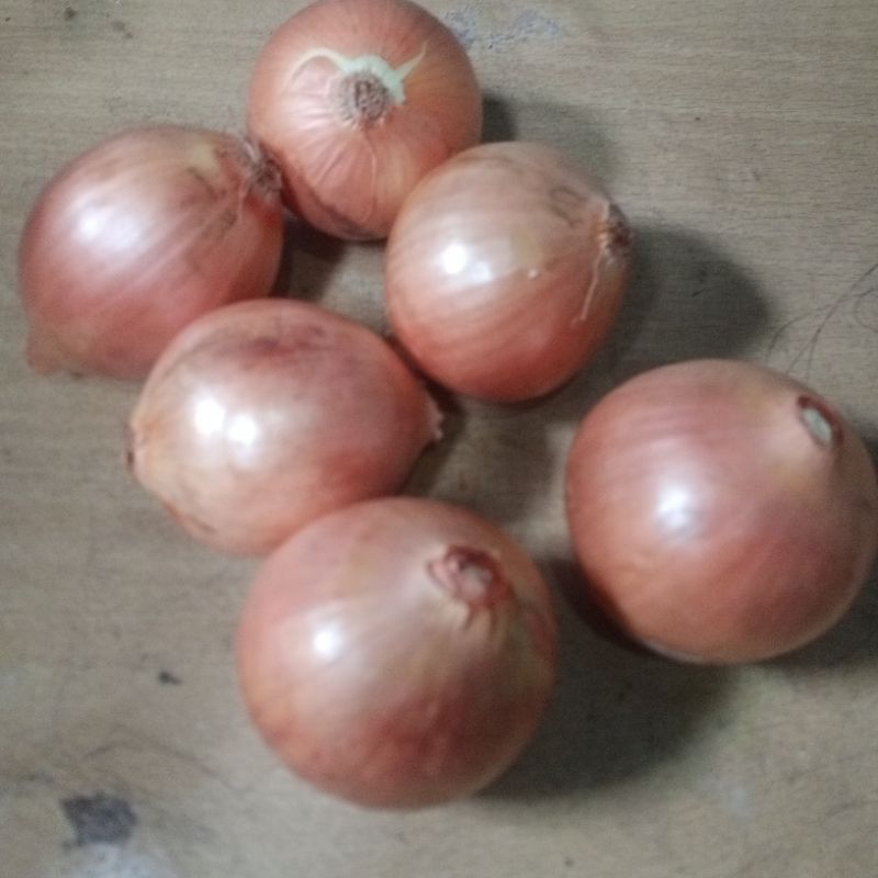 

BAWANG BOMBAY SEGAR 1 BUAH