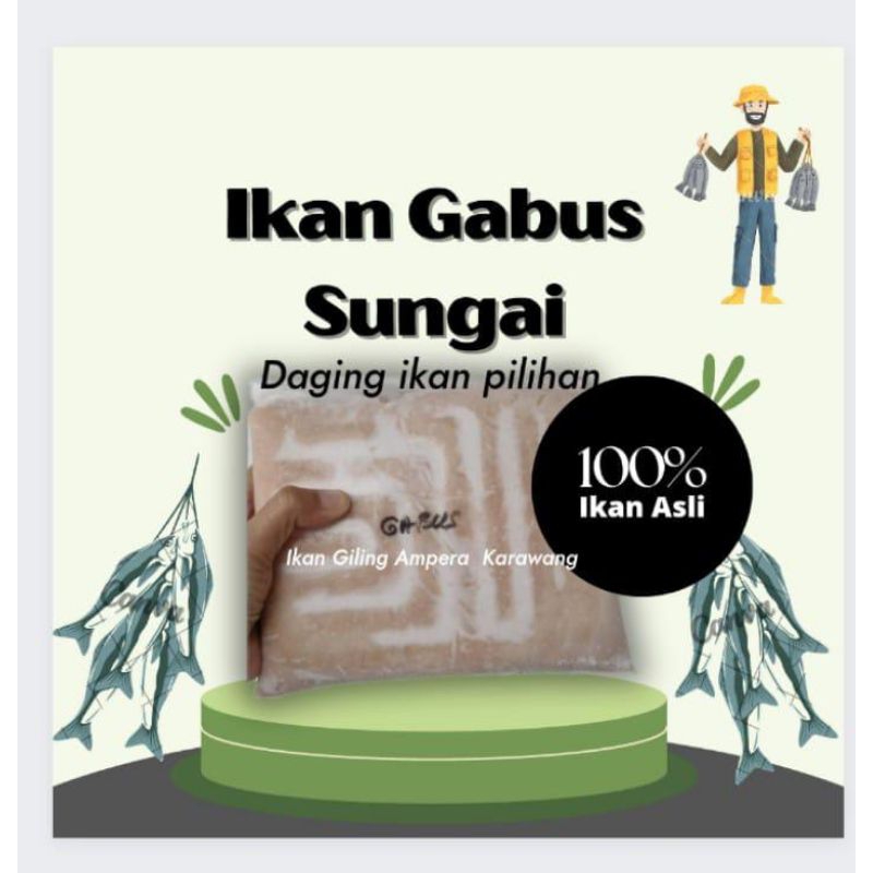 

Ikan Gabus Sungai