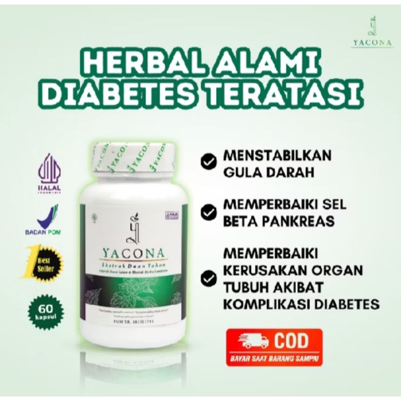 Best seller - Yacona asli herbal kesehatan atasi diabetes 100%