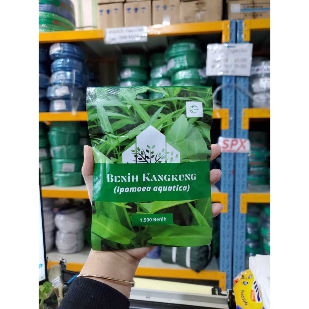 Benih Sayur Kangkung/Benih Kangkung Hidroponik/Benih Sayur Murah isi Banyak