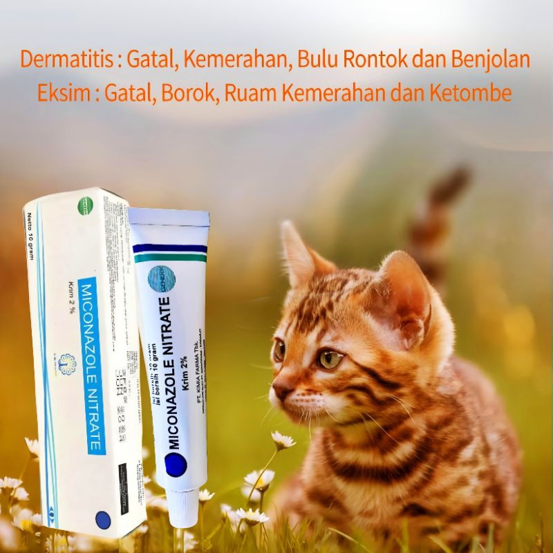 SALEP MICONAZOLE OBAT PENYAKIT JAMUR KULIT INFEKSI SCABIES GATAL GATAL PADA KUCING ANJING KELINCI