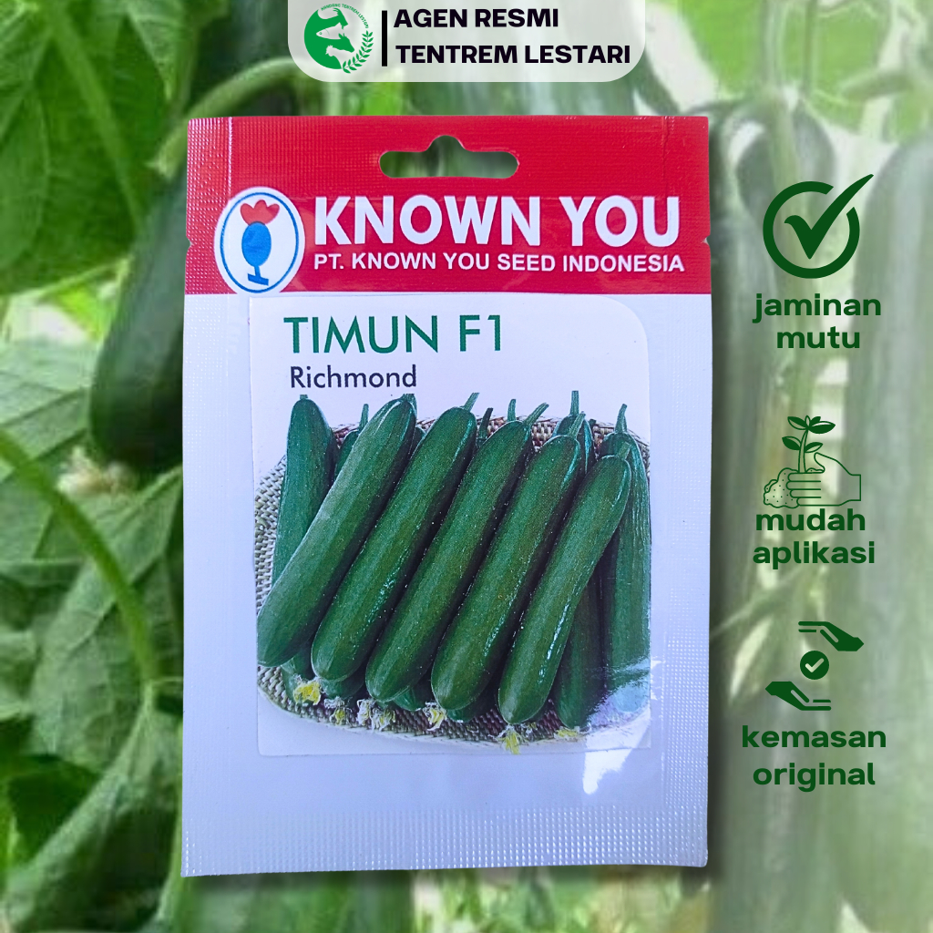 Benih Timun RICHMOND 20 seed Known You Seed