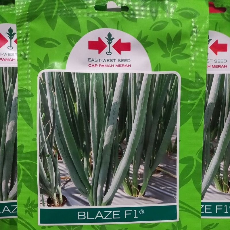 Benih Daun Bawang/Bawang Prai Blaze F1 Kemasan 800 Butir