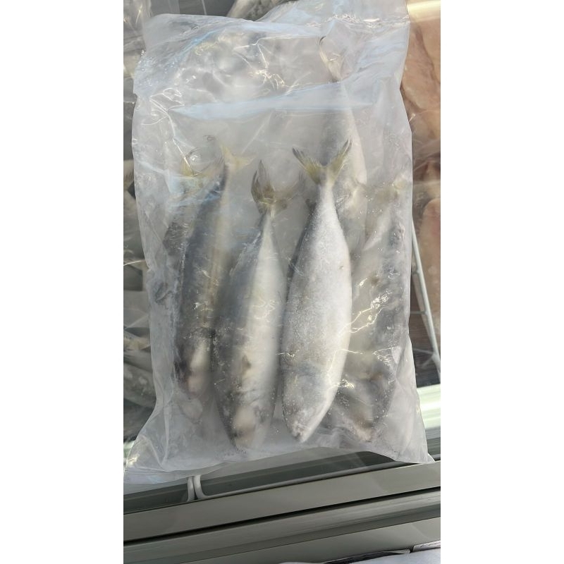 

Kembung Banjar Frozen Food