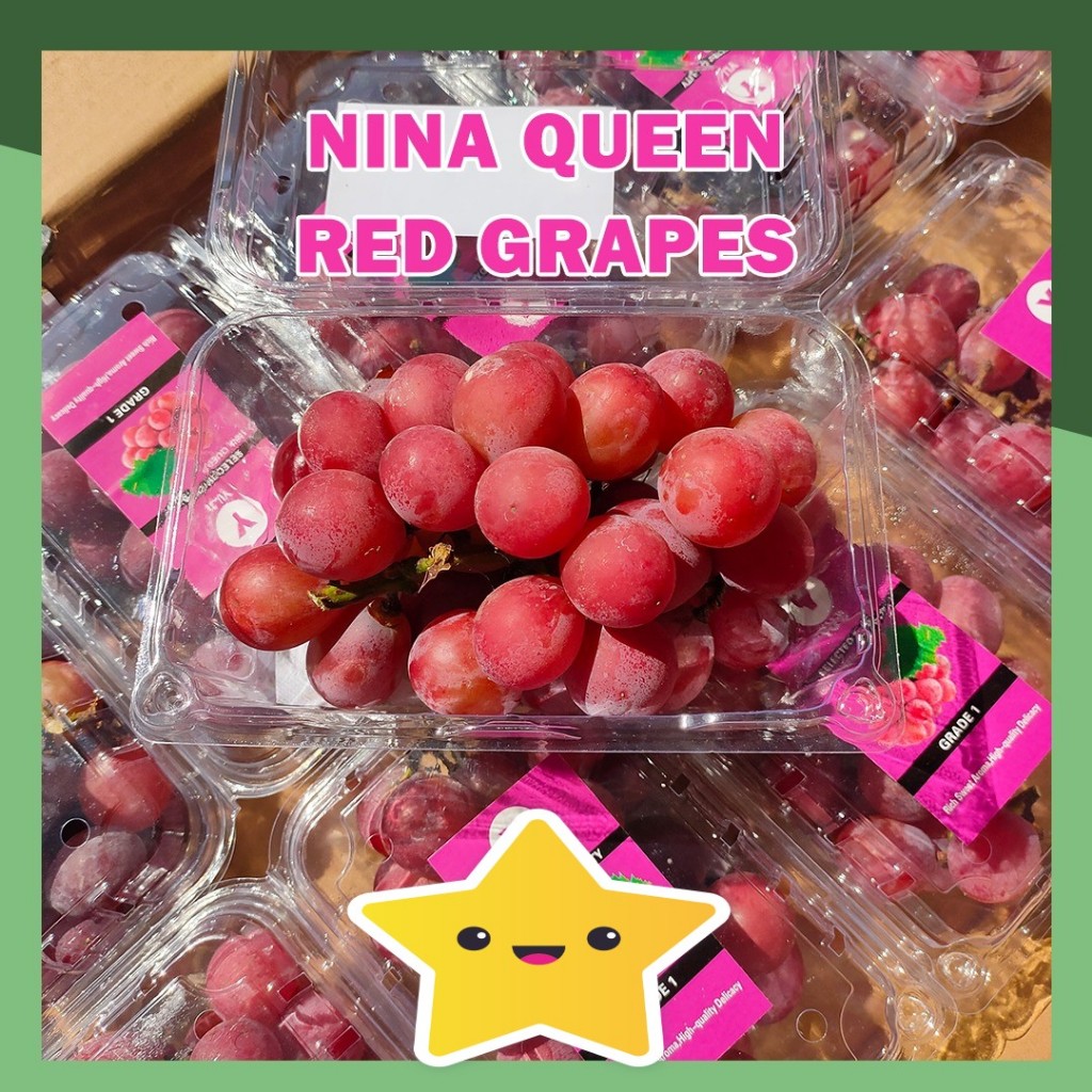 

Anggur Sultan Queen Nina Red Seedless Grapes 250gr