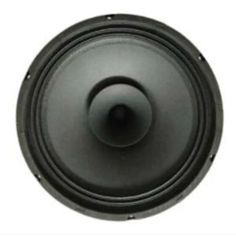 Speaker curve 12 inch C 1230 PA CURVE