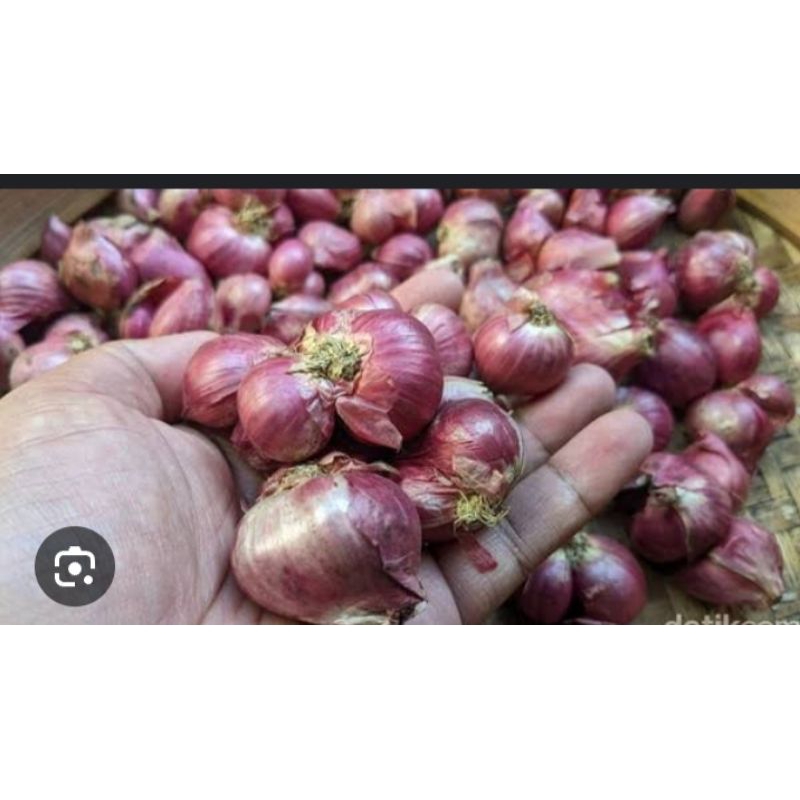 

2kg bawang merah tanggung campur