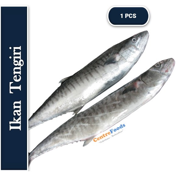 

Ikan Tengiri - Tengiri Utuh Fresh | Size 500-700gr [ Harga Per PCS ]