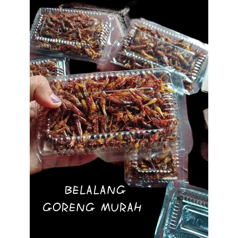 

BELALANG GORENG KEMASAN MIKA WALANG UTES WALANG KECIL