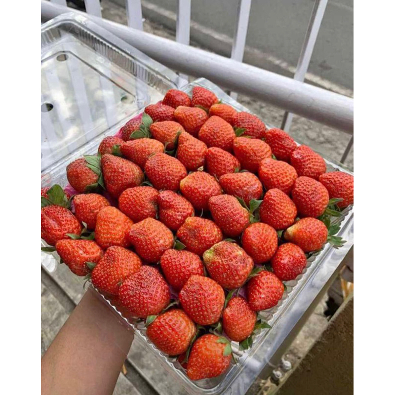 

Strawberry Grade AB