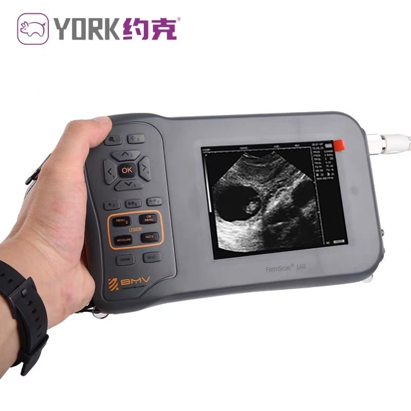 Usg hewan untuk kambing,domba,babi,anjing,kucing