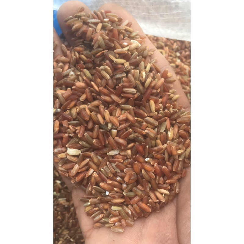 

beras merah 500g