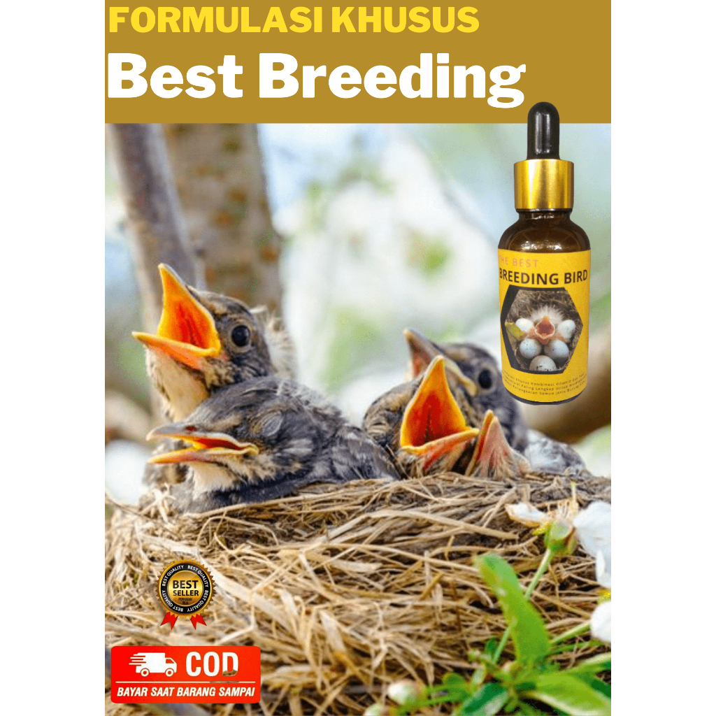 Vitamin Burung Khusus Untuk Obat Penambah Birahi Burung Kicau Kenari dan Murai Batu Vitamin Murai