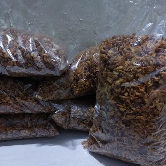 

BAWANG GORENG PROBOLINGGO 1KG MURNI TANPA CAMPURAN HOMEMADE