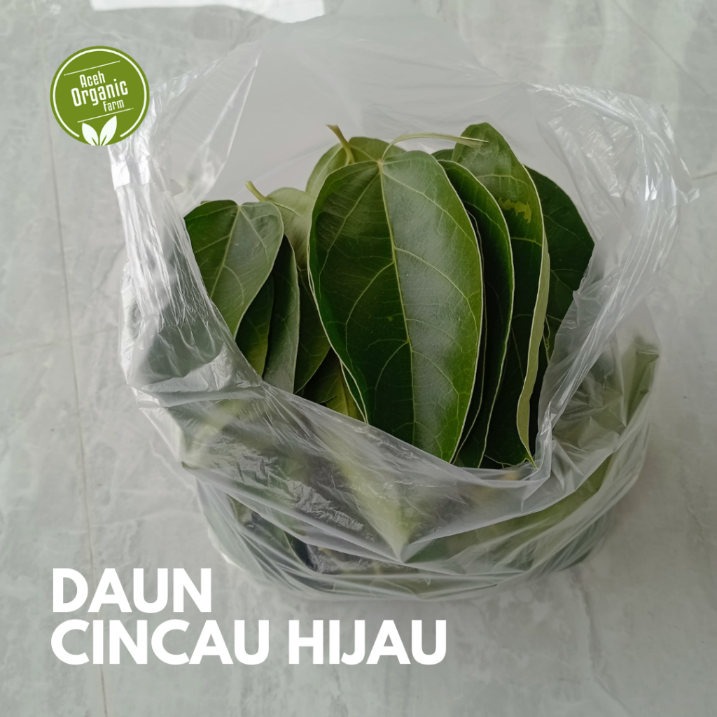 

Daun Cincau Hijau Segar Organik perdu Petik Langsung 500gr