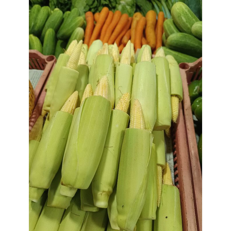 

jagung acar 500gr