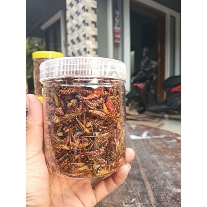 

BELALANG GORENG,BELALANG UTIS BERAT -+160GRAM