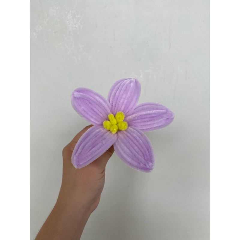BUNGA KAWAT BULU | PAPE CLEANER FLOWER