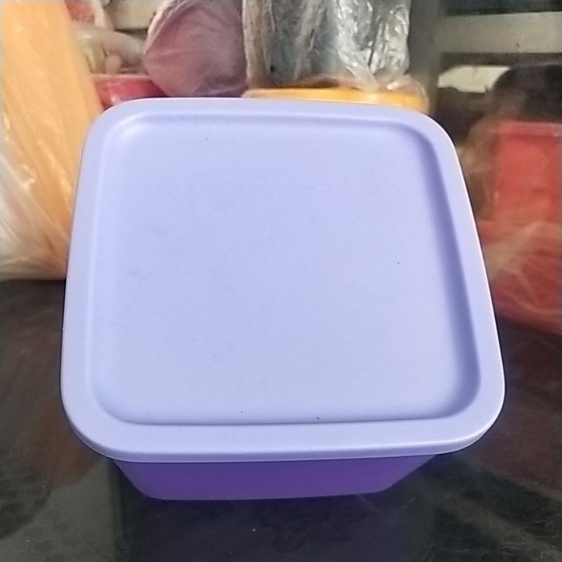 Medium Summer Fun Tupperware