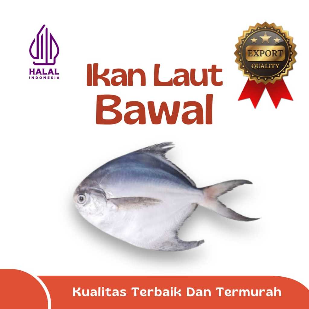 

IKAN BAWAL / IKAN KEPEL / IKAN LAUT EKSPOR QUALITY