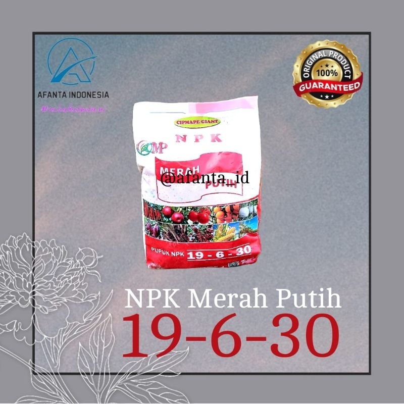 Pupuk Pembesar Buah - NPK Merah Putih Original 19-6-30