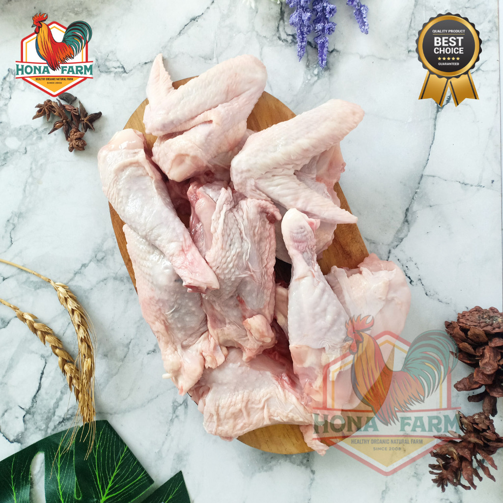 

Hona Farm Ayam Kampung Organik Probiotik 900-1KG (Potong 8)