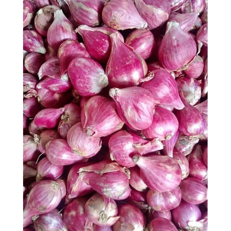 

Bawang Merah Brebes Sedang 1 Kg Fresh