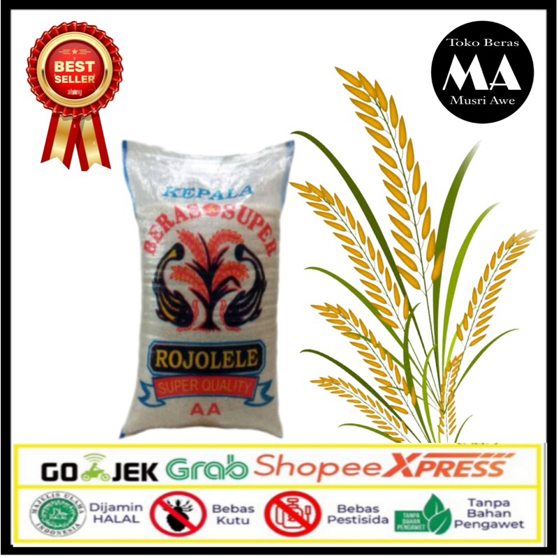 

Beras Rojolele Super Quality 5kg 10kg dan 20kg