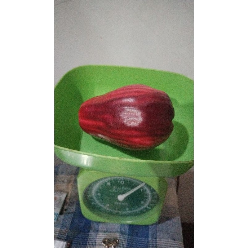 

Jambu Jamaica