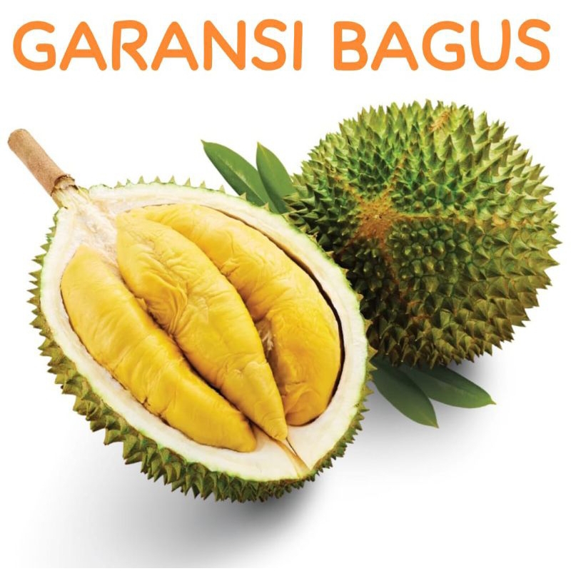 

Durian Musangking premium utuh 1buah