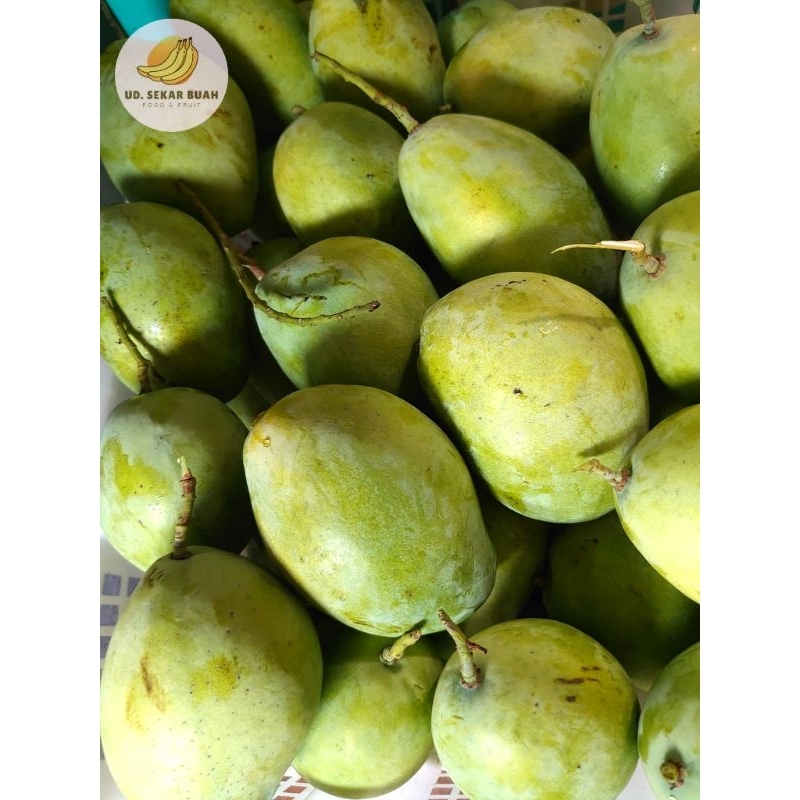 

AFGC [KIRIM INSTAN] BUAH MANGGA INDRAMAYU 900g-1kg (2-4pcs)