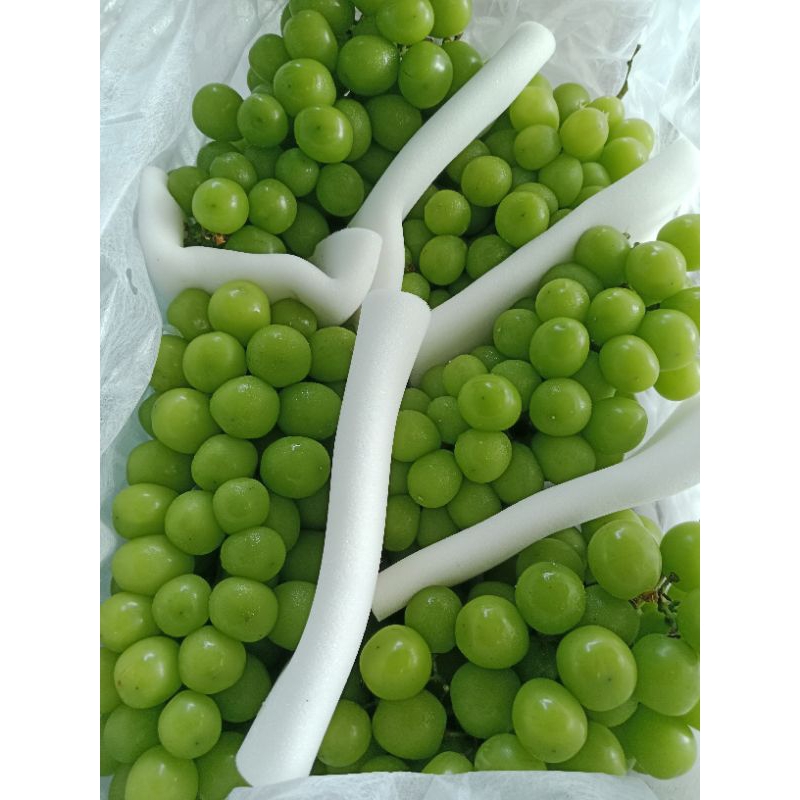

anggur ijo sine muscat berat 500gr